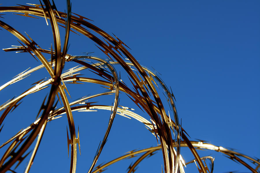 Razor wire with a golden hue from the setting sun Photograph by Phil Cardamone
