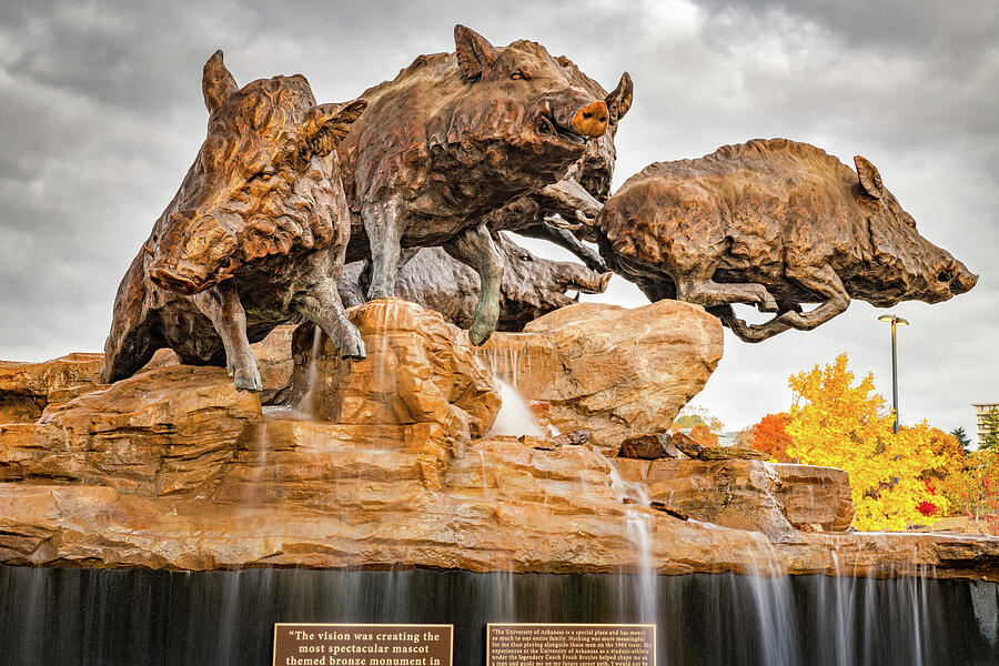 Razorback Fountain In The Fall Photograph by Gregory Ballos - Fine Art ...