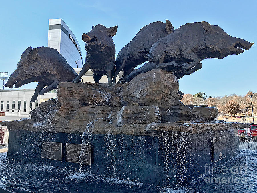 Razorbacks Fountain Photograph by Linda Brittain - Fine Art America