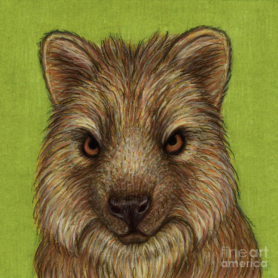 RBF Quokka Painting by Amy E Fraser