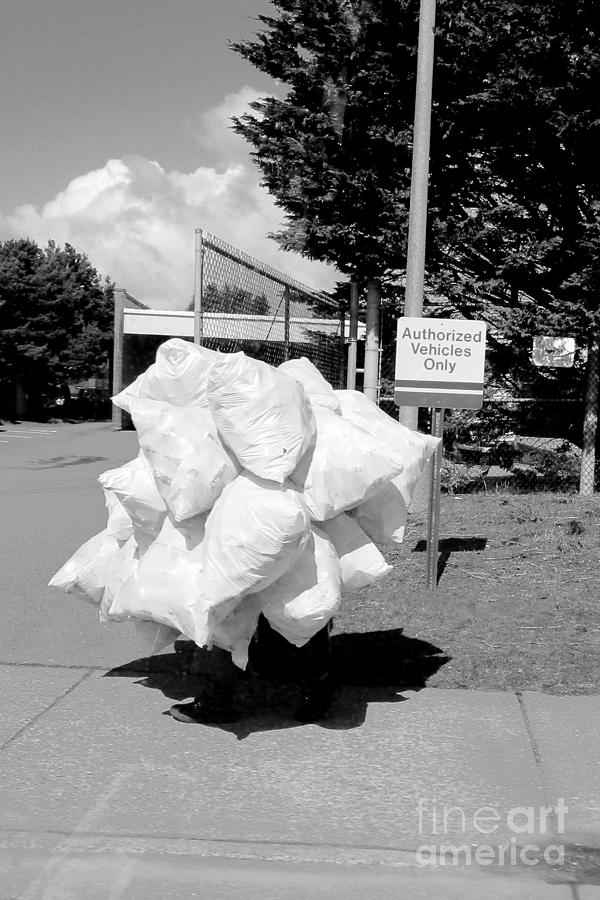 Re-Cycling Photograph by Marie Neder