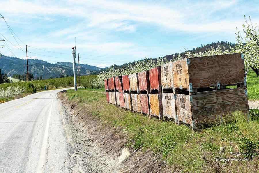 Re-used Apple Crates Photograph by Tom Cochran Re-used Apple Crates Photograph by Tom Cochran