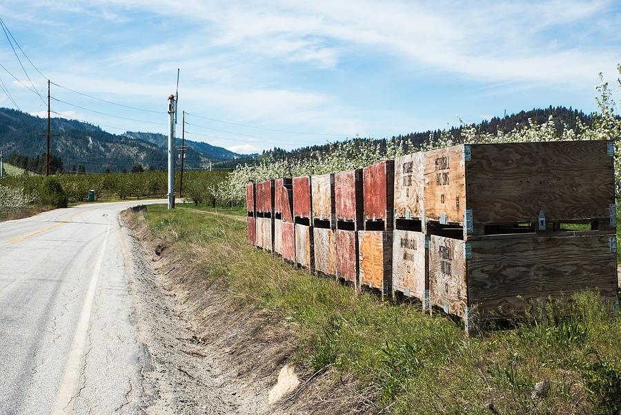 Re-used Apple Crates Photograph by Tom Cochran
