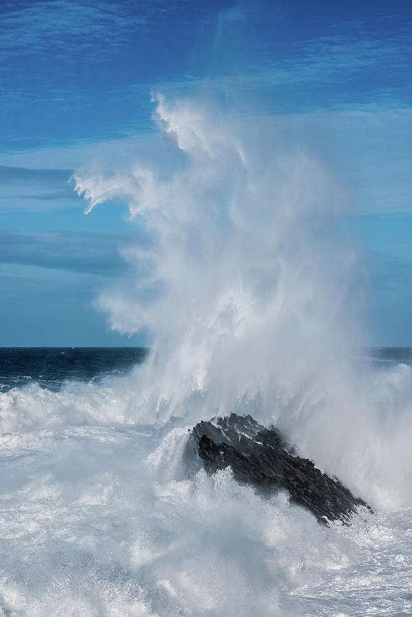 Reach Photograph by Aron Tyler - Fine Art America