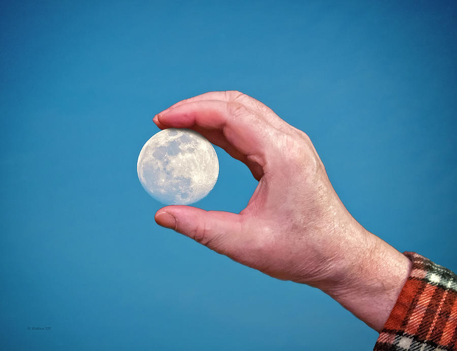 Reach For The Moon Photograph by Brian Wallace