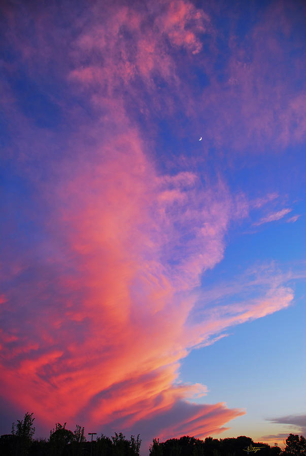 Reach for the Moon Photograph by Patrick Steger Reach for the Moon Photograph by Patrick Steger