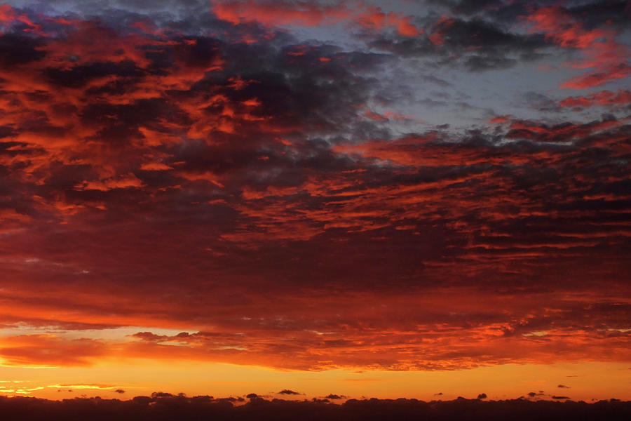 Sunset Photograph - Reach for the Sky 12 by Mike McGlothlen