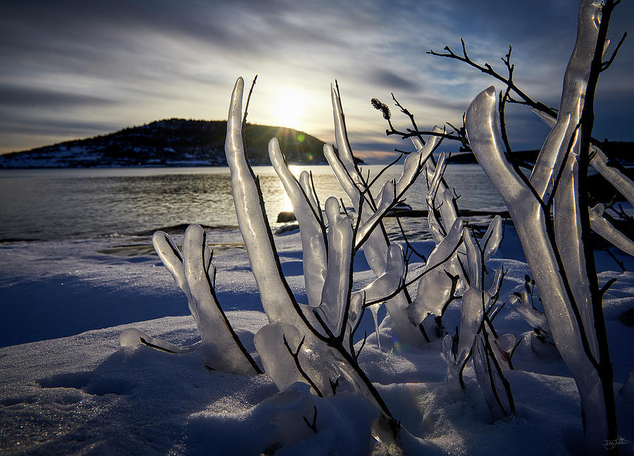Reach for Warmth Photograph by Doug Gibbons