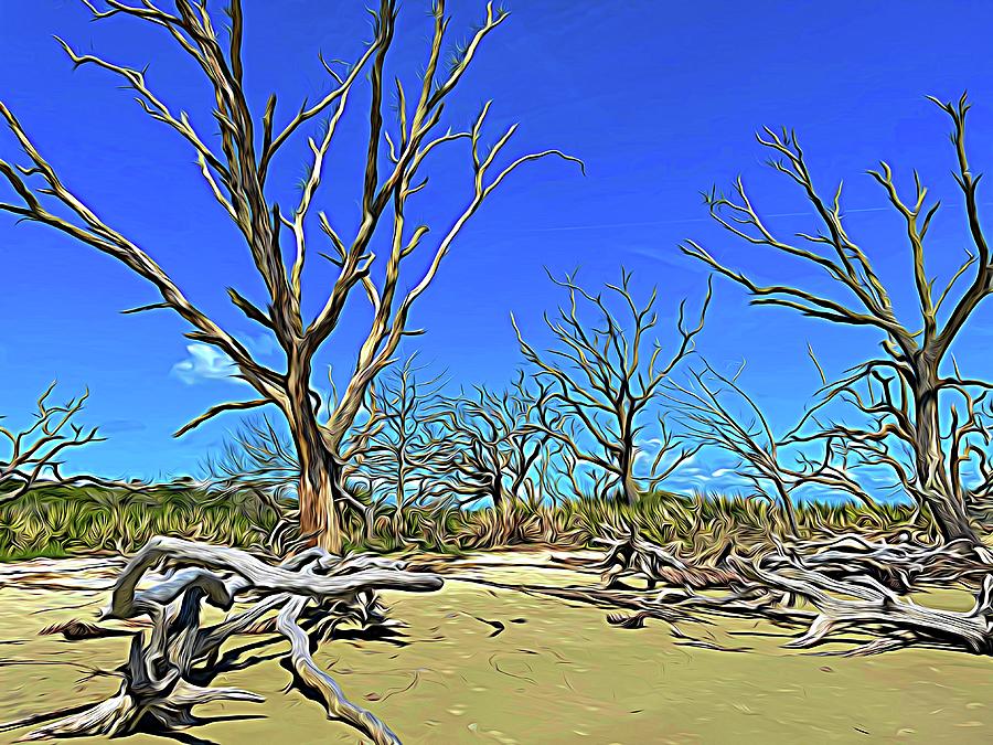 Reach to the Sky on Driftwood Beach Expressionism Photograph by Bill Swartwout