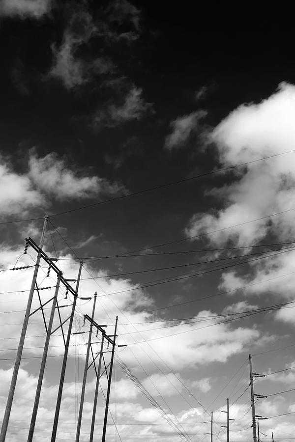 Reaching For The Sky Minimalist in Black and White Photograph by Ann ...