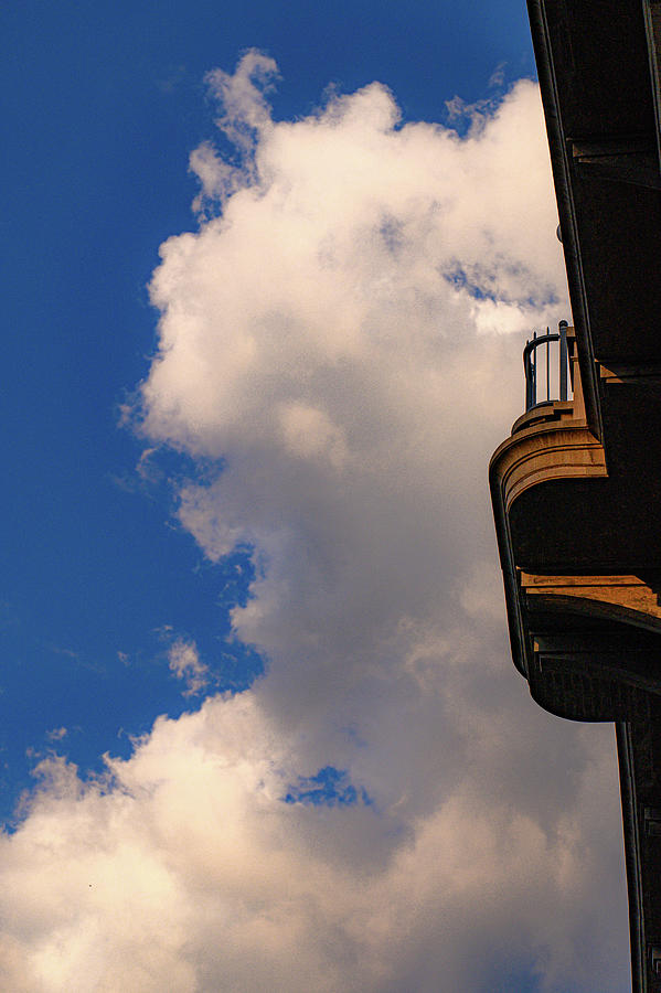 Reaching for the Sky Photograph by Roland Wilhelm - Fine Art America