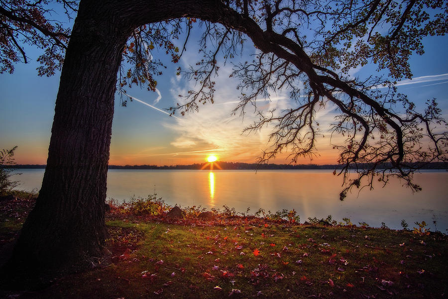 Reaching Out  - oak tree reaching over Lake Waubesa in autumn sunset Photograph by Peter Herman