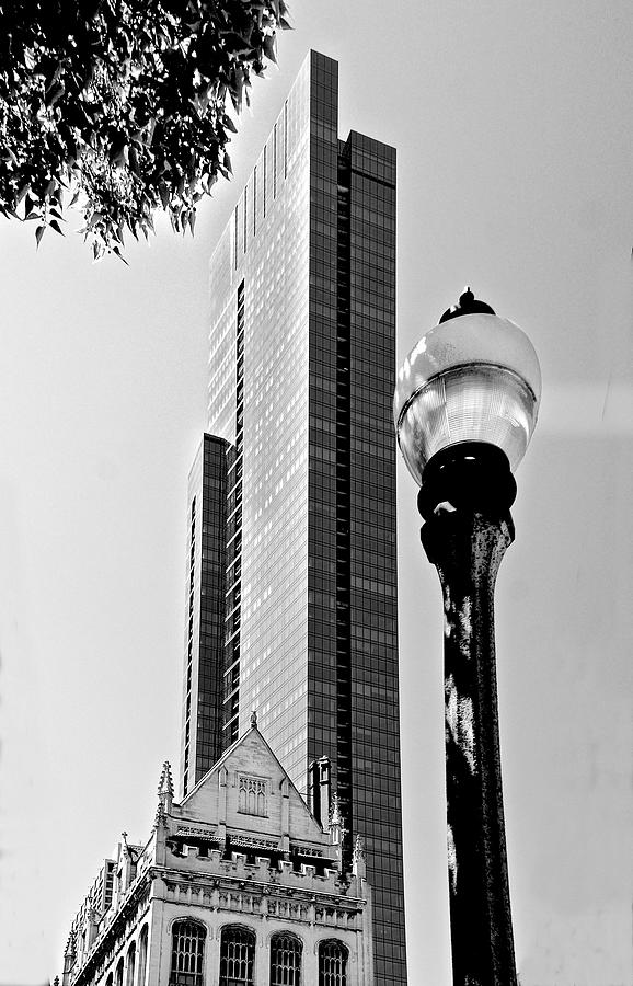 Reaching To The Sky Photograph By Rudolf Volkmann Pixels