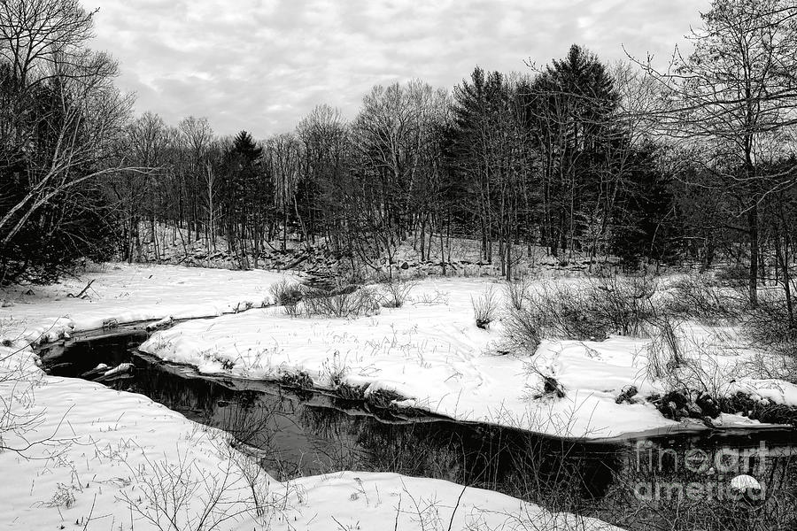 Readfield Mill Stream in Winter Photograph by Olivier Le Queinec