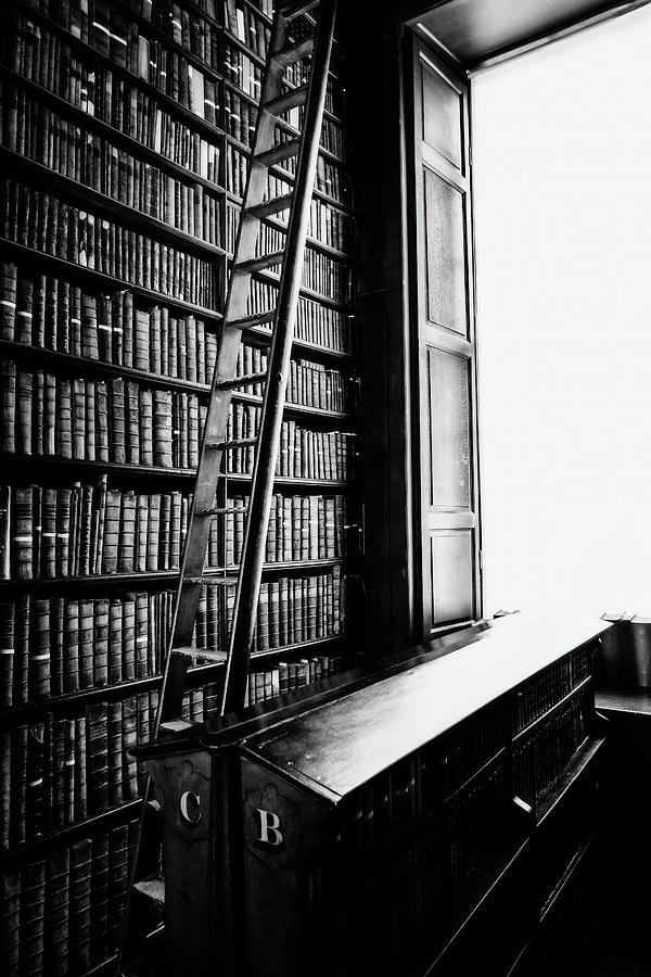 Reading Light - BW Photograph by Scott Pellegrin