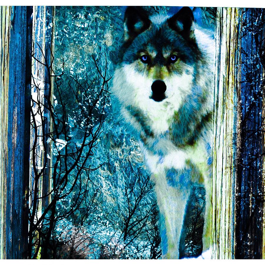 Blue wolf  Digital Art by Kim Prowse