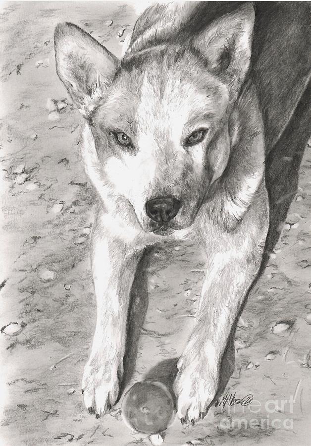 Ready for fetch Drawing by Meagan  Visser