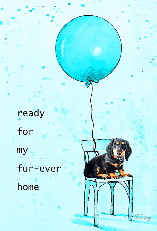 Ready For My Fur-ever Home Mixed Media by Fine Art By Edie