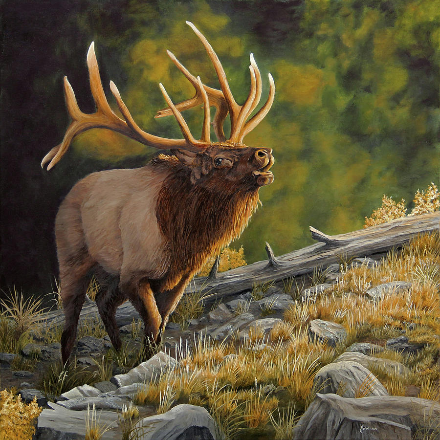Ready To Challenge - Bull Elk Painting by Johanna Lerwick