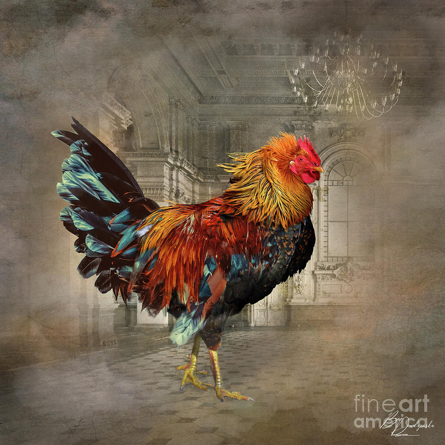 Rooster Digital Art - ready to Dance by Barbara Dudzinska