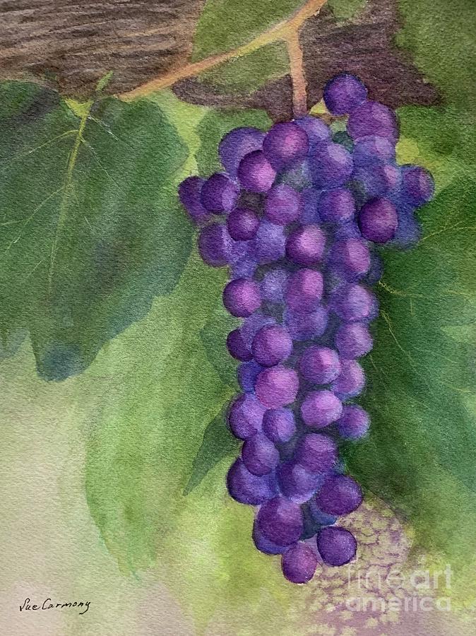 Grape Painting - Ready to Pick by Sue Carmony