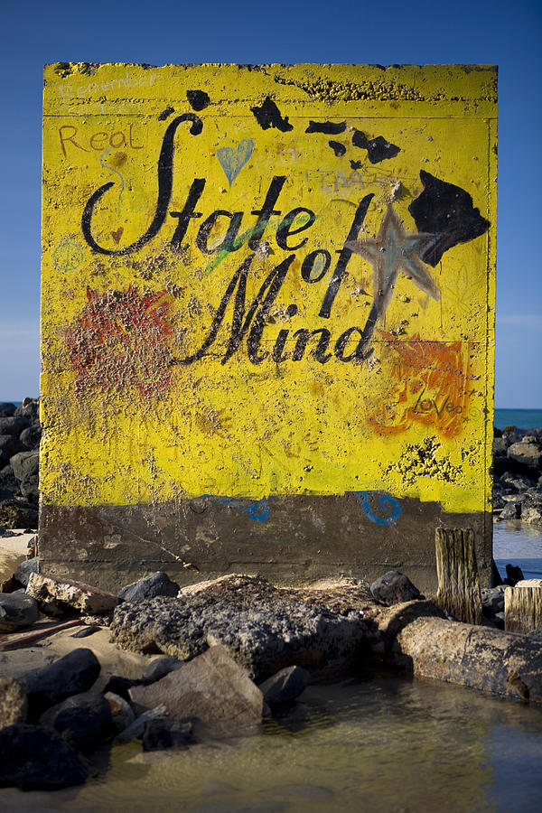 Real Hawaii state of mind shoreside painting. Photograph by Merten Snijders