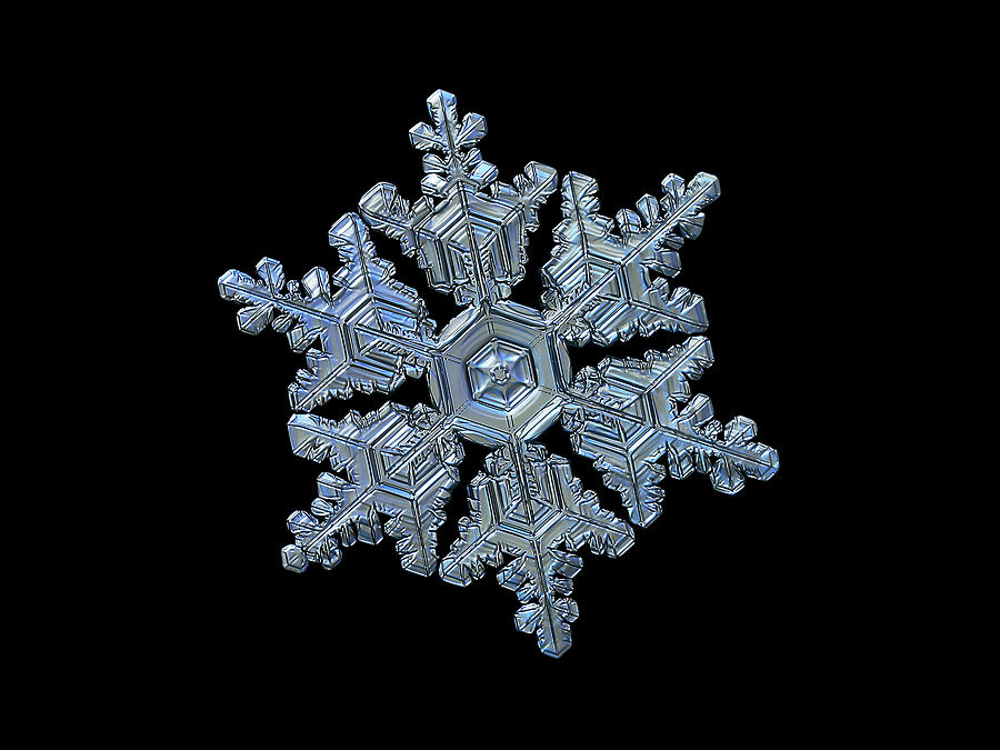 Real snowflake - 05-Feb-2018 - 16b Photograph by Alexey Kljatov