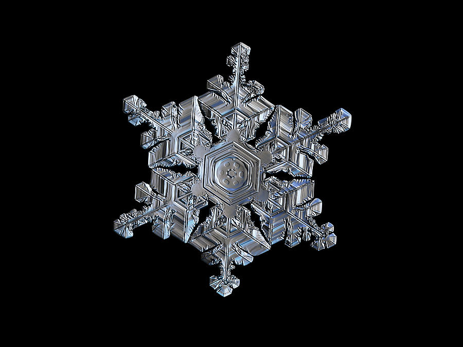 Real snowflake - 05-Feb-2018 - 19b Photograph by Alexey Kljatov