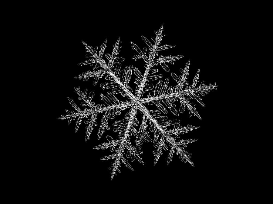 Real snowflake 2013-01-10_0913-8b Alcyone Photograph by Alexey Kljatov