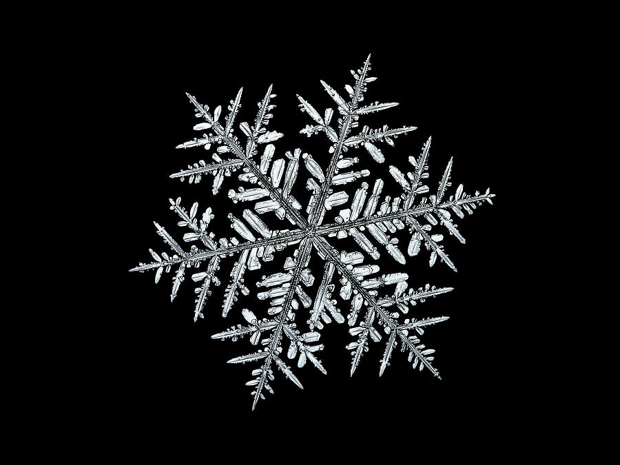 Real snowflake 2013-01-10_0913-8b2 Alcyone Photograph by Alexey Kljatov