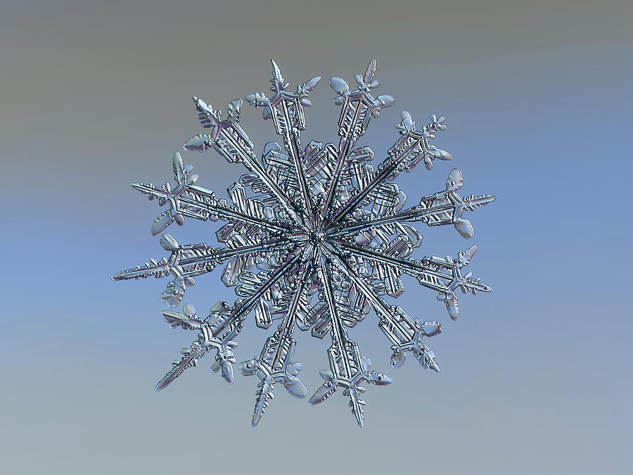 Real snowflake 2014-01-26_5384-91 Photograph by Alexey Kljatov