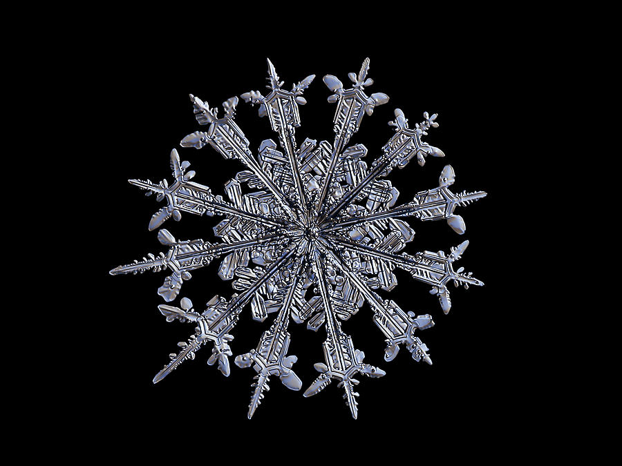 Real snowflake 2014-01-26_5384-91b Photograph by Alexey Kljatov