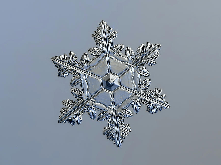 Real snowflake 2016-01-03_1 Photograph by Alexey Kljatov
