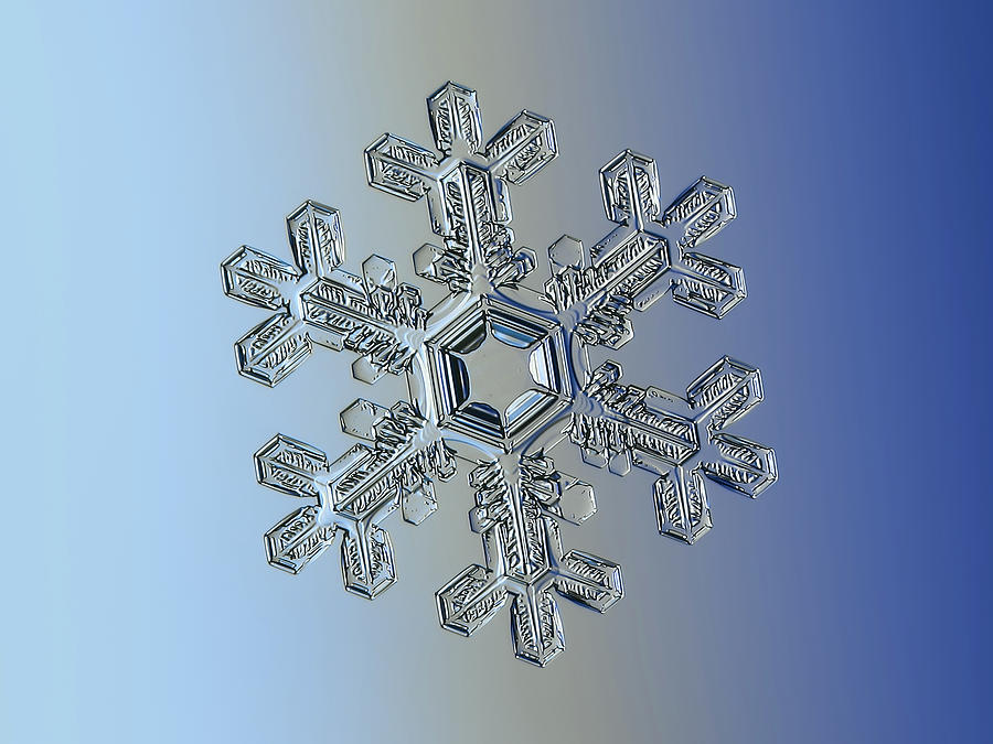 Real snowflake 2016-01-06_1 Photograph by Alexey Kljatov