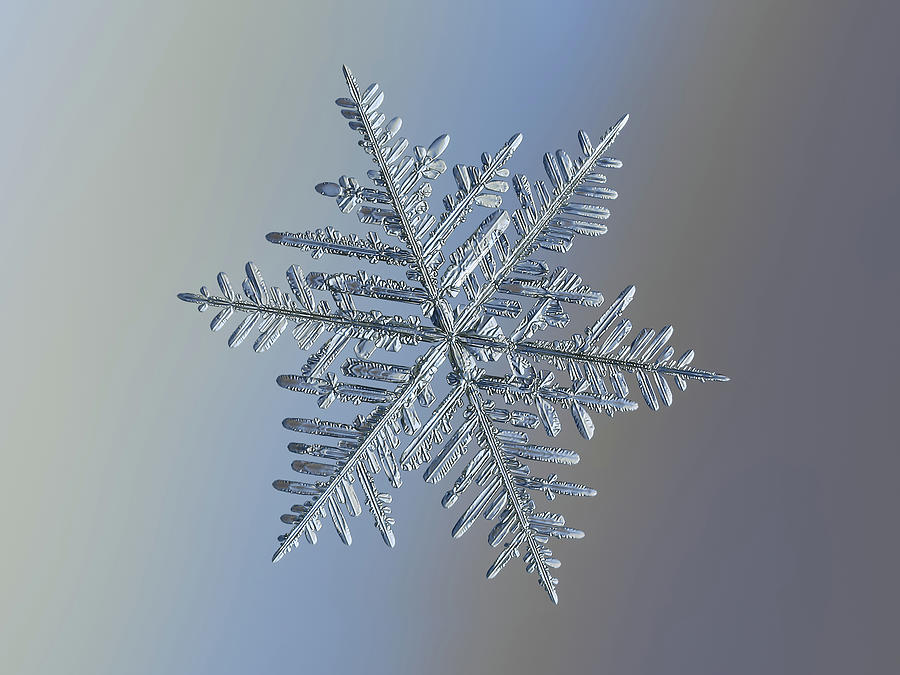 Real snowflake 2016-01-21_2a_Dubhe Photograph by Alexey Kljatov