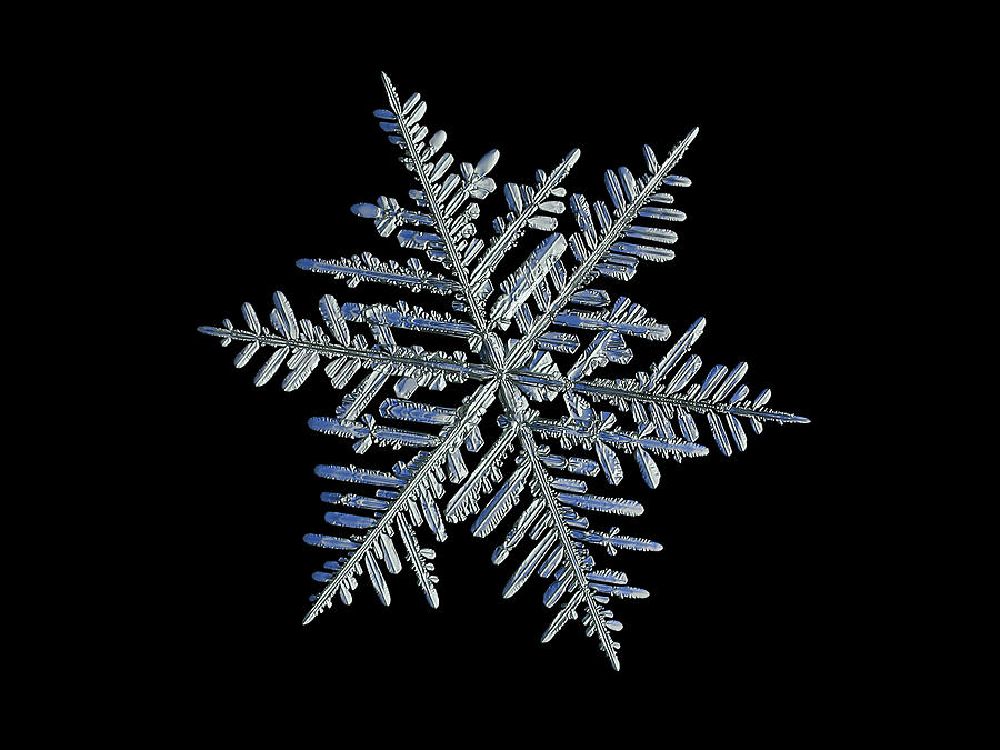 Real snowflake 2016-01-21_2b_Dubhe Photograph by Alexey Kljatov
