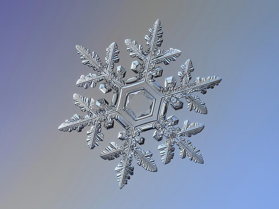 Real snowflake 2016-01-23_9300-8 Photograph by Alexey Kljatov