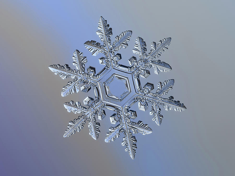 Real snowflake 2016-01-23_9300-8alt Photograph by Alexey Kljatov