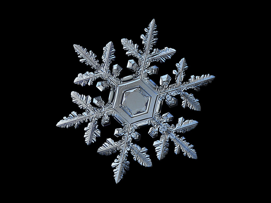 Real snowflake 2016-01-23_9300-8b Photograph by Alexey Kljatov