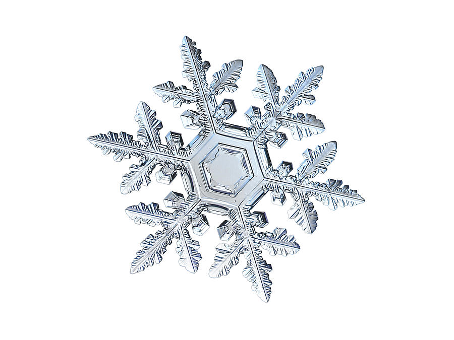 Real snowflake 2016-01-23_9300-8w Photograph by Alexey Kljatov