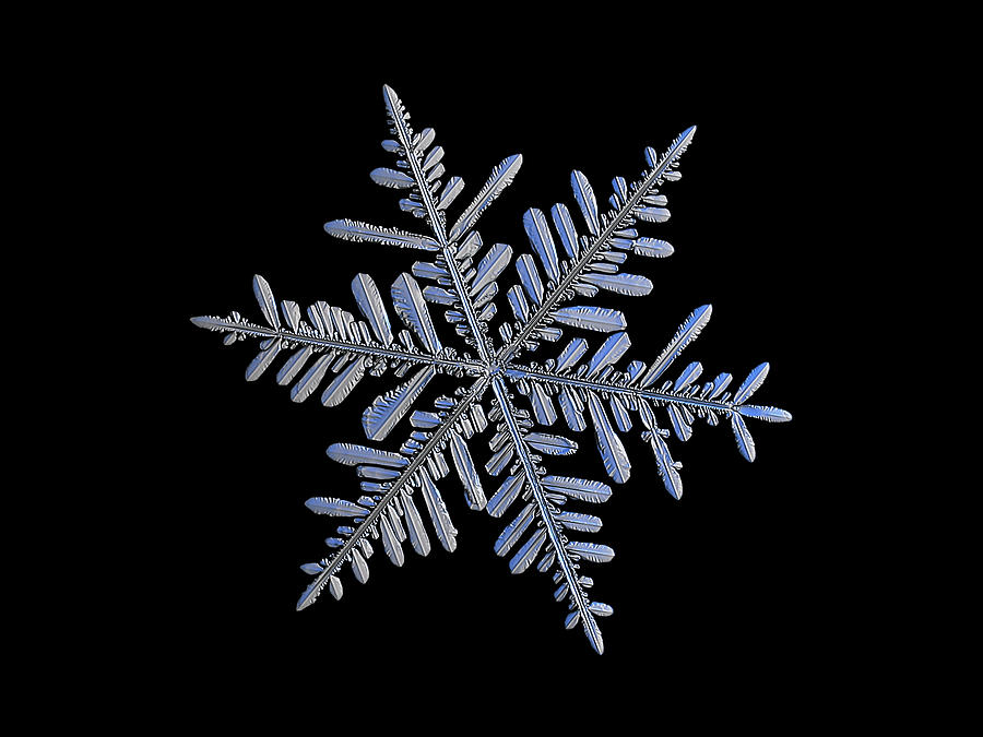 Real snowflake 2018-12-18_1 Photograph by Alexey Kljatov