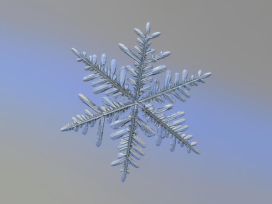 Real snowflake 2018-12-18_1o Photograph by Alexey Kljatov