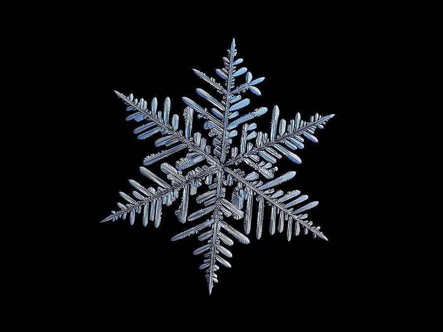 Real snowflake 2018-12-18_2 Photograph by Alexey Kljatov