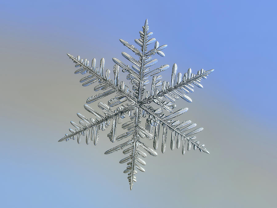 Real snowflake 2018-12-18_2o Photograph by Alexey Kljatov