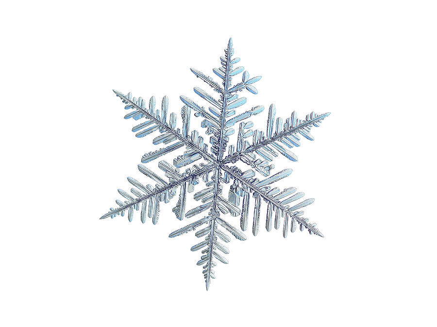 Real snowflake 2018-12-18_2w Photograph by Alexey Kljatov