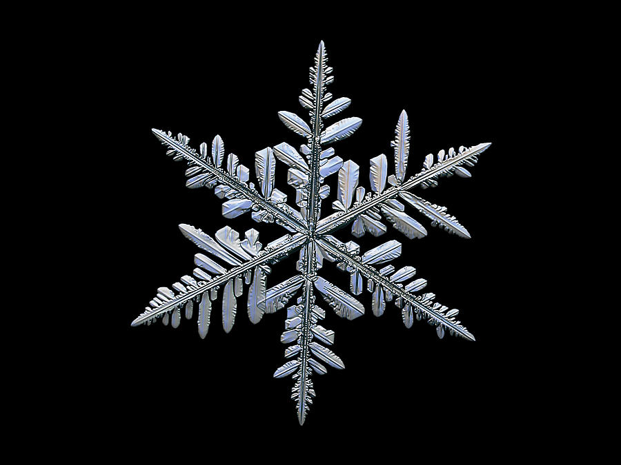 Real snowflake 2018-12-18_4 Photograph by Alexey Kljatov