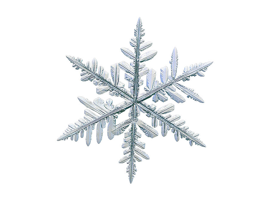 Real snowflake 2018-12-18_4w Photograph by Alexey Kljatov