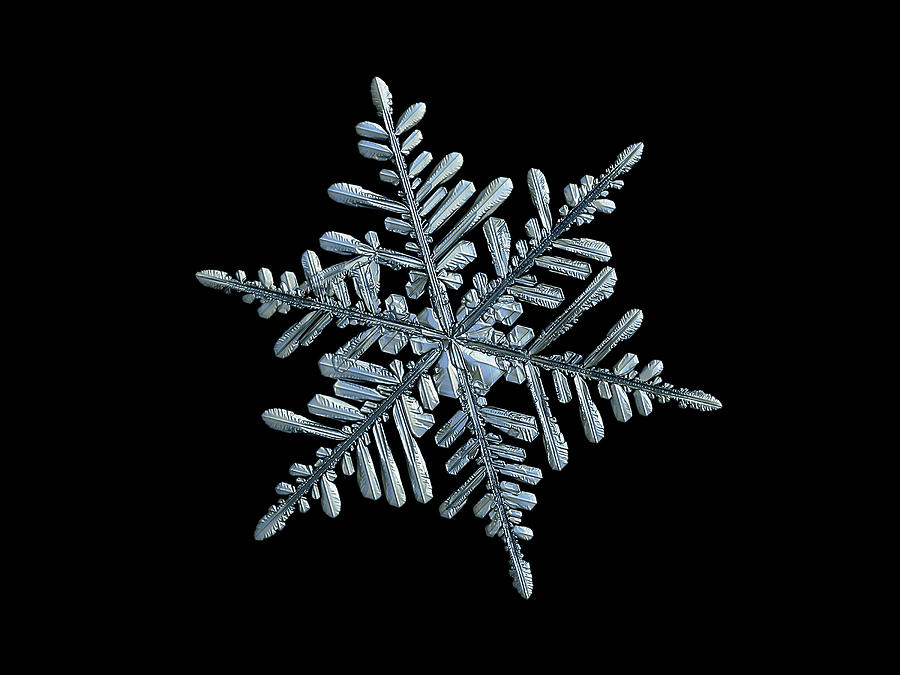 Real snowflake 2018-12-18_6b Photograph by Alexey Kljatov