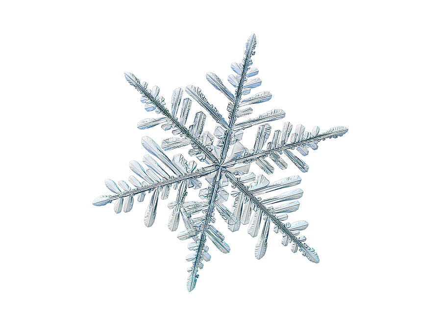 Real snowflake 2018-12-18_6w Photograph by Alexey Kljatov