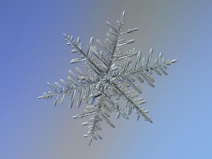 Real snowflake 2018-12-18_8843-52 Photograph by Alexey Kljatov